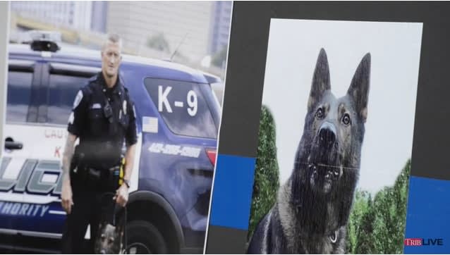 Video: Hundreds of Officers Gather in Pittsburgh to Honor Slain K-9