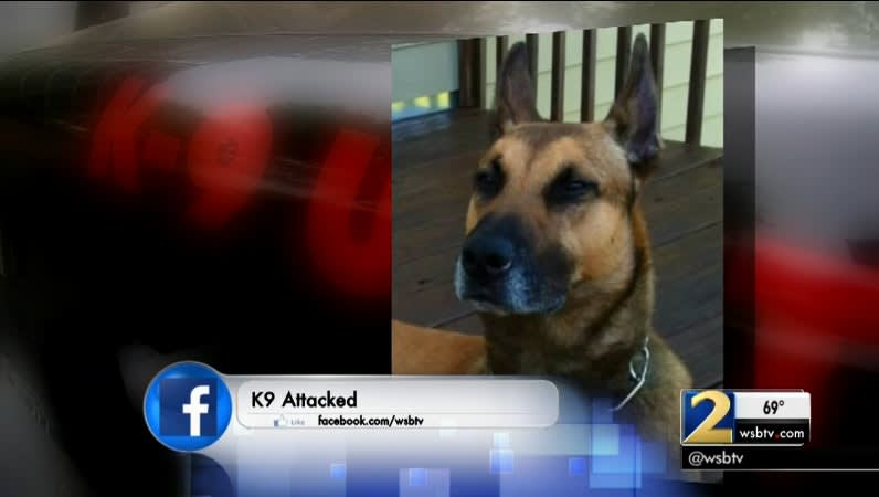 Video: Gang Member Punches Georgia K-9 With Brass Knuckles