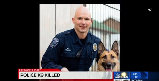 Video: Utah Police K-9 Killed, Suspect Shot in SWAT Standoff