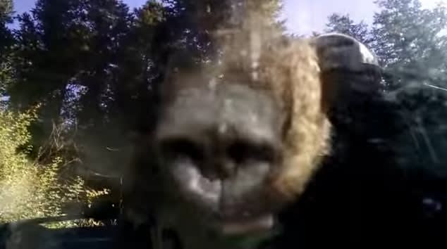 Video: Colorado Deputies Free Bear Trapped Inside Car