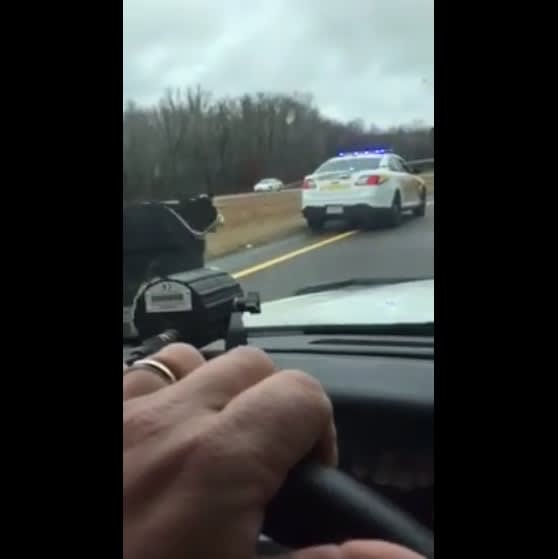 Video: Man Ropes Calf While Riding on TN Sheriff's Cruiser