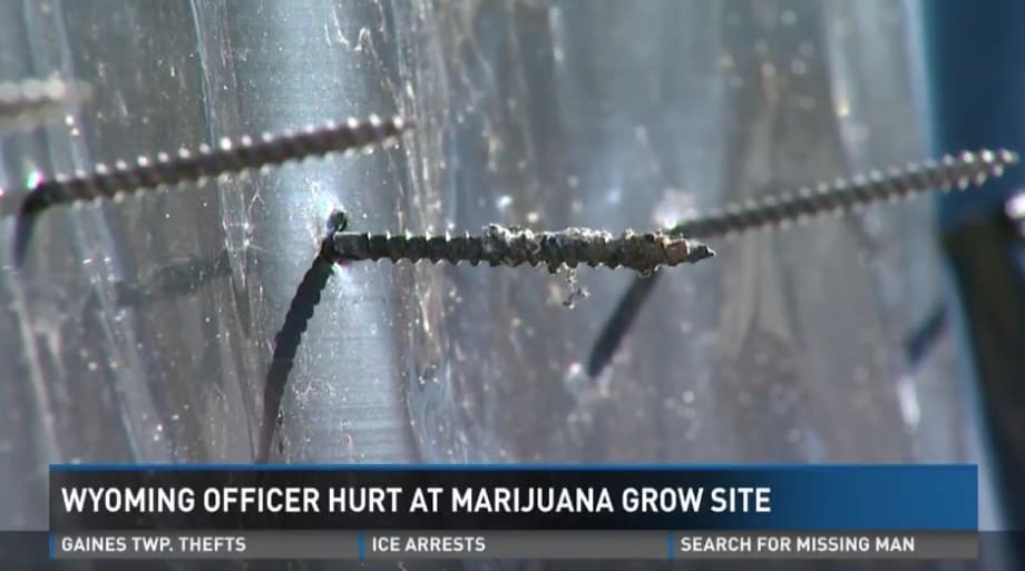 Video: Booby Trap Impales MI Officer at Marijuana Grow Operation