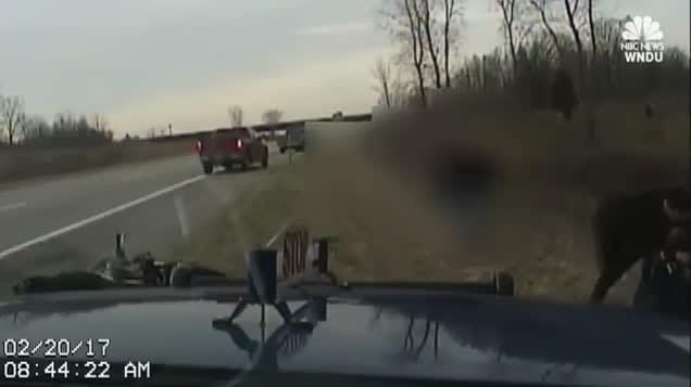 Video: Civilians Aid Michigan Trooper Under Attack on Side of the Road
