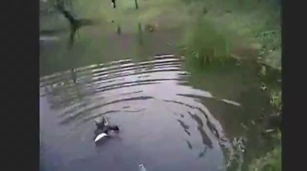 Video: KS Officer Saves Autistic Boy from Drowning