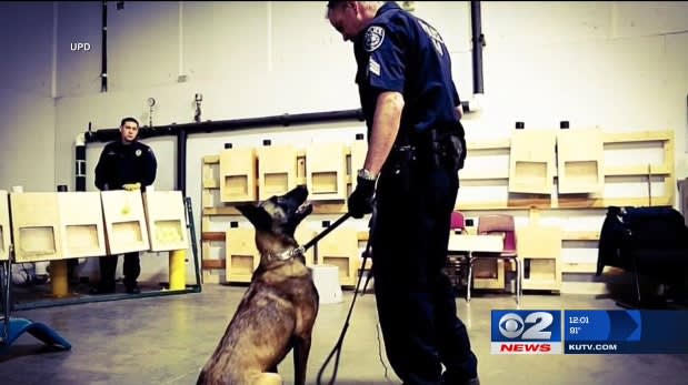 Video: Utah K-9 Shot and Killed in Fugitive Arrest