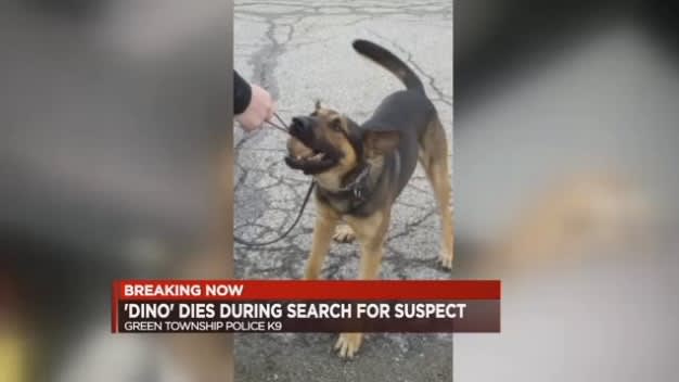 Video: OH K-9 Dies Trying to Catch Kidnapping Suspects