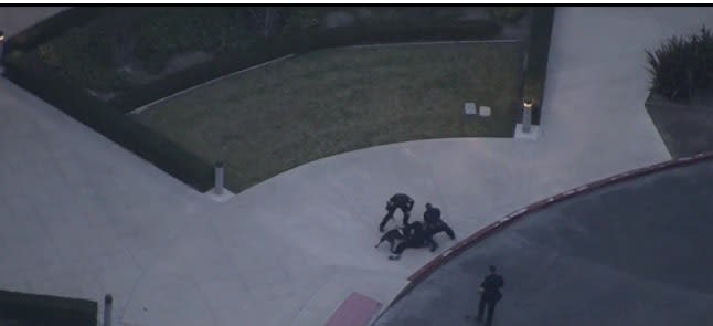 Video: Wild California Vehicle Pursuit Ends with K-9 Takedown