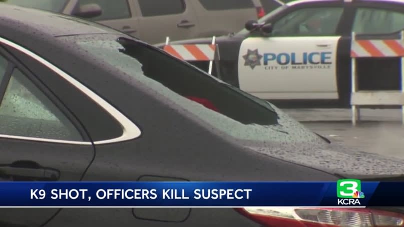 California Man Shot K-9 Before Officers Opened Fire, Officials Say