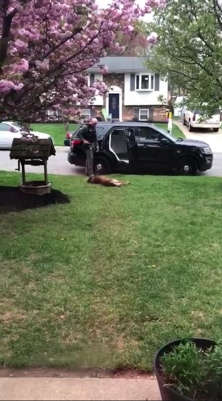 Video: Maryland K-9 Doesn't Want to Go to Work