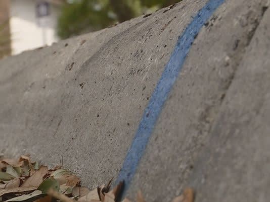 Video: Man Urges Homeowners to Paint Blue Lines on Curbs to Show Support for Police
