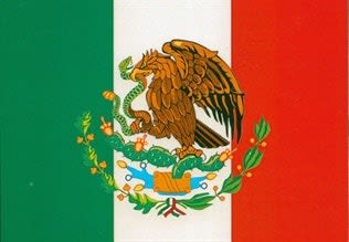 Book Excerpt: Officer's Discretion