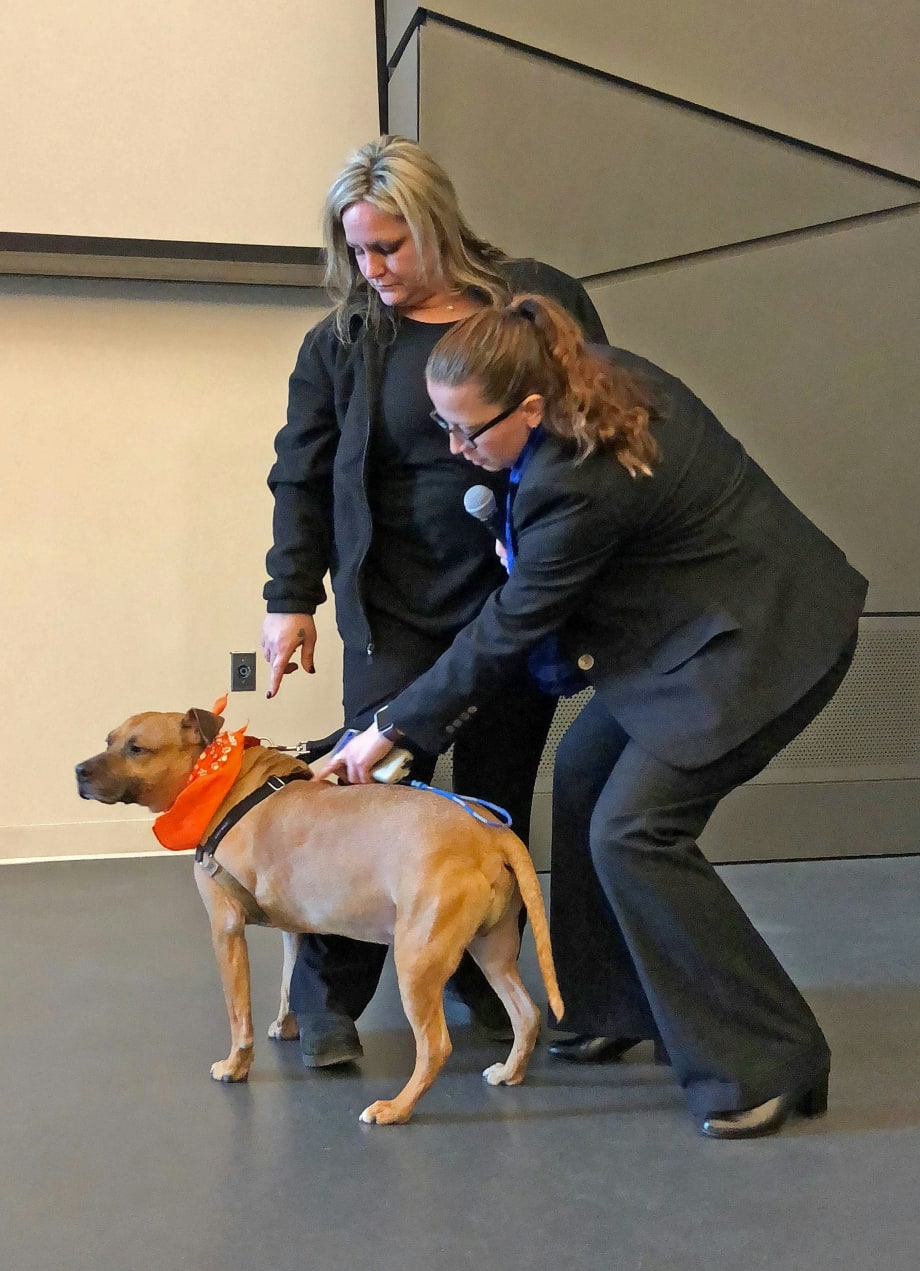 ASPCA Funds Pet Microchip Scanners for 86 NYPD Precincts and Housing Police Service Areas