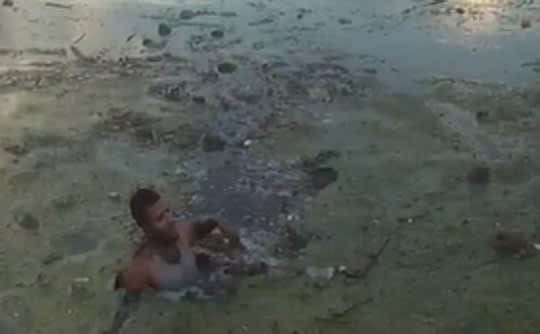 Video: Man Running from Florida Officers Jumps into Water Full of Toxic Algae, Pleads for Help from Police