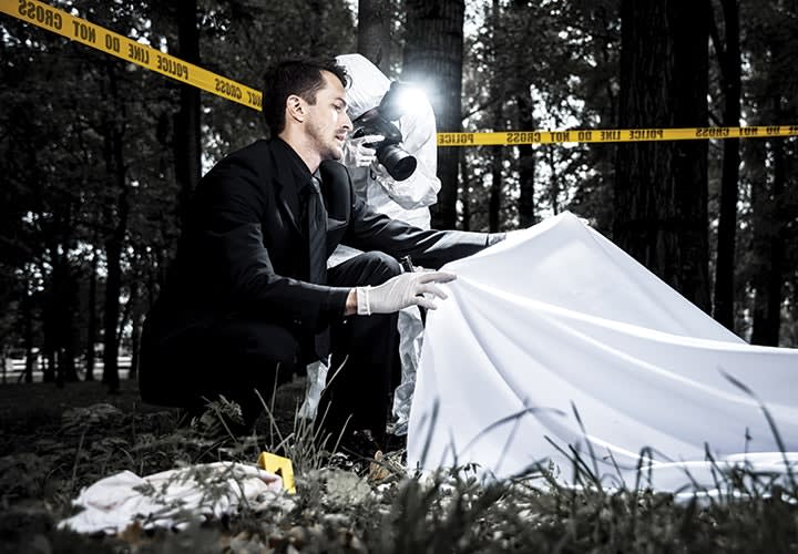 Animal Activity and the Crime Scene