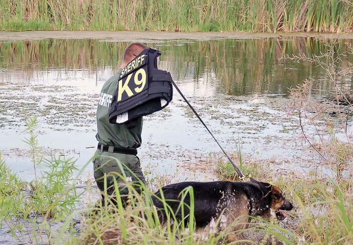 Getting the Most Out of K-9 Units