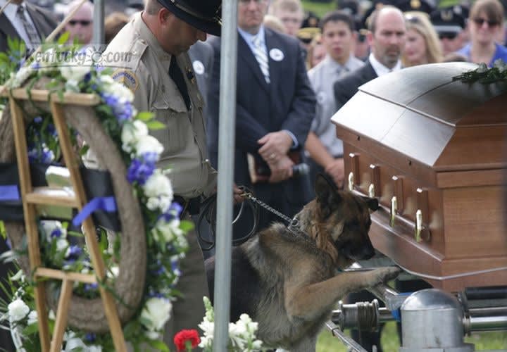 Ky. K-9 Pays Respects To Fallen Handler