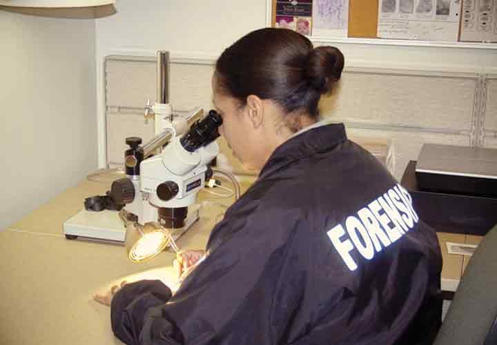 What CSIs Want You to Know