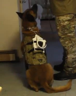 K-9 Camera and Mount