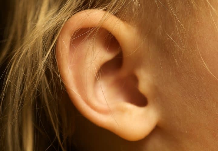 German Cops Use Ear Prints To Catch Serial Burglar