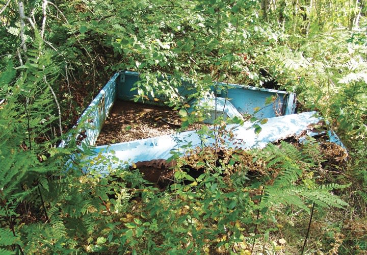 Case Study: A Body in New Brunswick