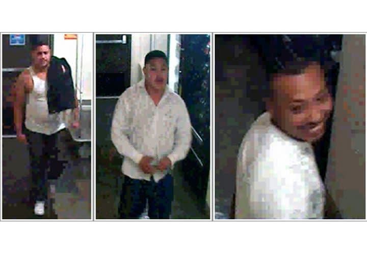 Arizona Beheading a Cartel Hit?