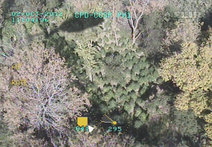 Massive Pot Farm Found In Chicago