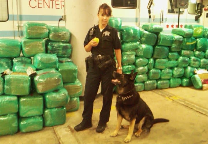 Chicago Police Seize $33 Million In Marijuana