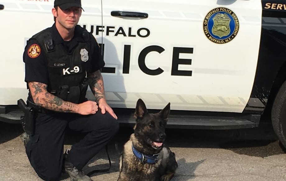 Missing Buffalo Officer’s K-9 Partner Ran to River to Search for Him