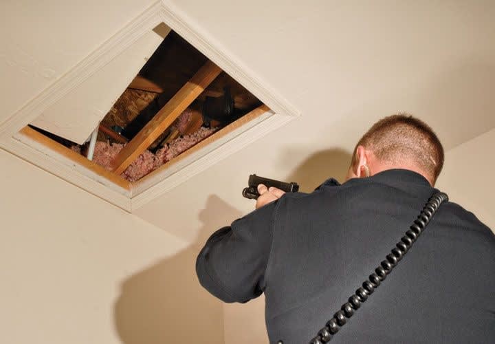 Concealed Suspects: Into the Hearts of Darkness