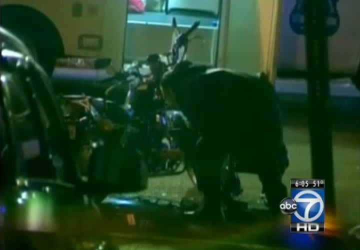 Struck D.C. Motor Cop Waited 20 Minutes for Ambulance