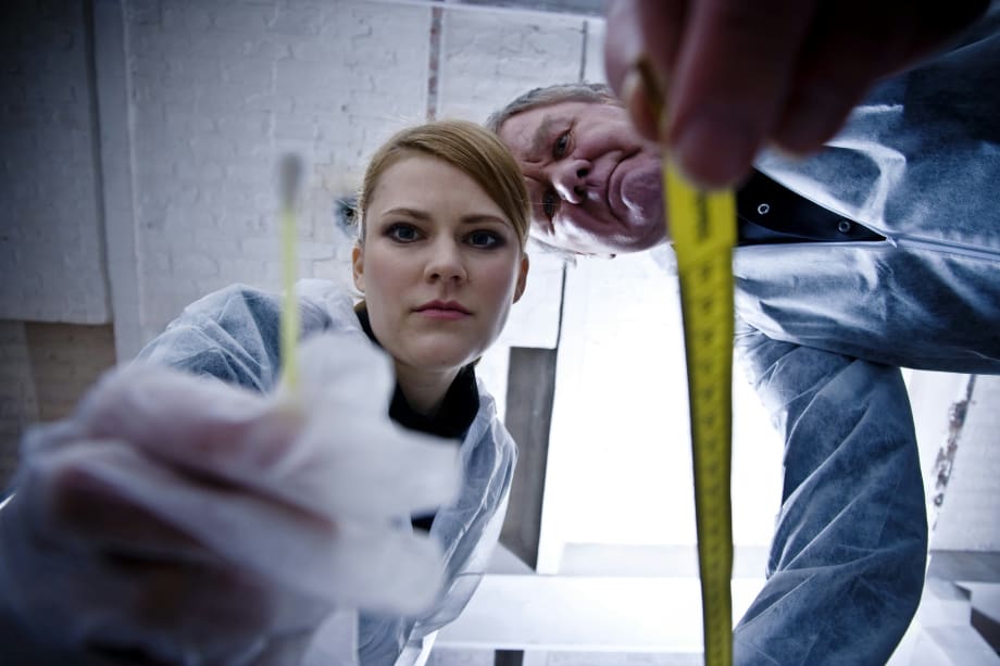 Criminology vs. Criminal Justice Degrees