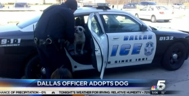 Video: Dallas Officer Adopts Dog He Rescued from Highway