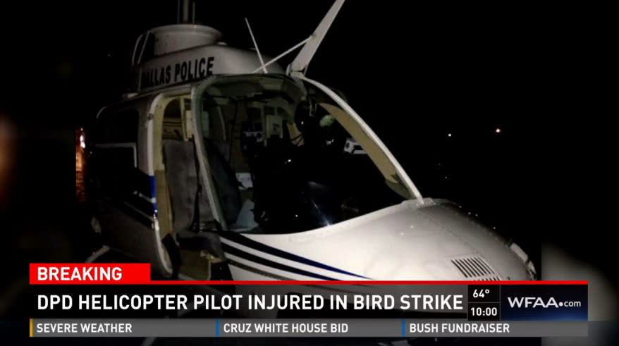 Dallas Police Helicopter Lands Safely After Bird Strike