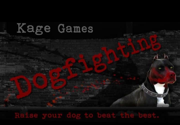 Dogfighting Game Renamed, Back on Sale
