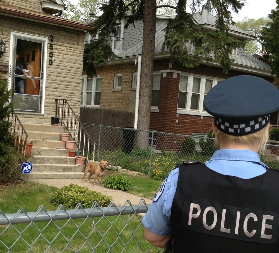 Dog Owners Can Prevent Violent Encounters Between Police and Their Pets