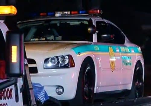 Fla. Man Shot After Trying To Run Down Officers