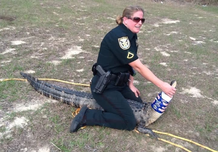 Video: Fla. SRO Wrestles Gator at Middle School