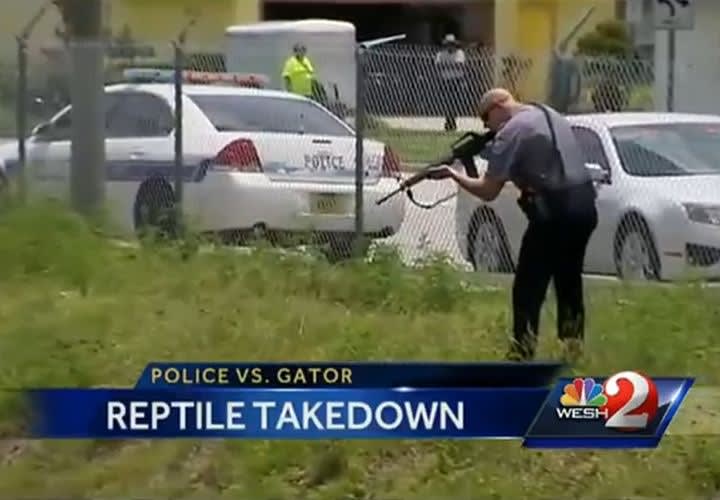 Fla. Cop Shoots, Kills 10-Foot Gator
