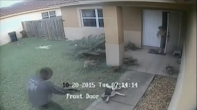 Thousands Sign Petition Calling for Firing of Florida Officer for Shooting Dog