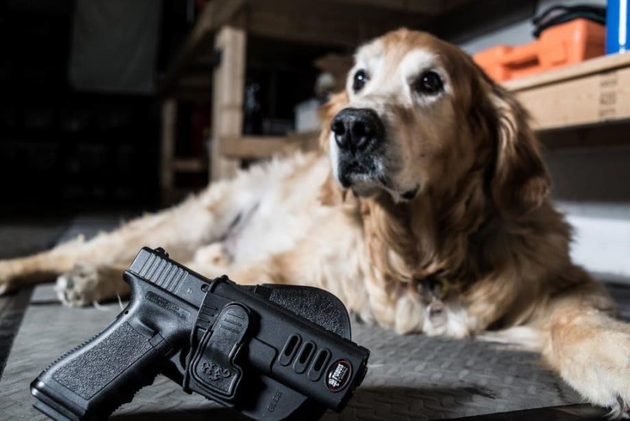 Fobus Donates to Service Dog Non-Profit