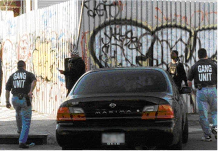 Field Interviews During Gang Stops