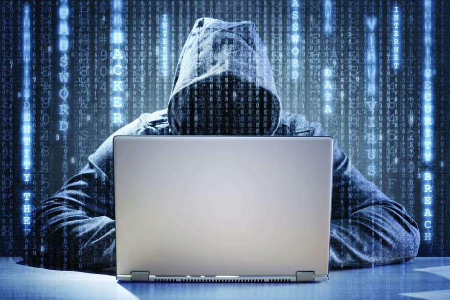 Fighting Cybercrime at the Local Level