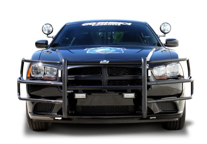 Go Rhino Introduces Brush Guards for 2011 Dodge Charger