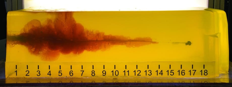 Guardian Angel Devices Shine a Light on Fleet Worker Safety