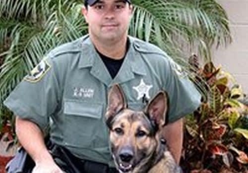 Fla. K-9 Apprehends Murder Suspect, Retires