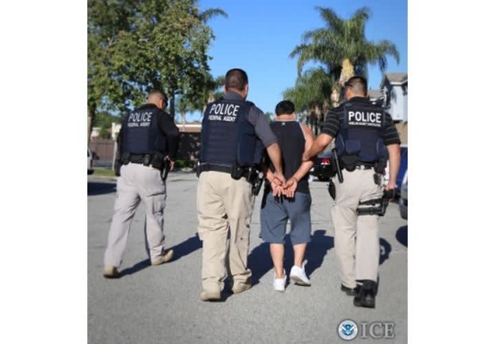 ICE Arrests 976 Gang Members and Associates During 'Project Wildfire' Surge