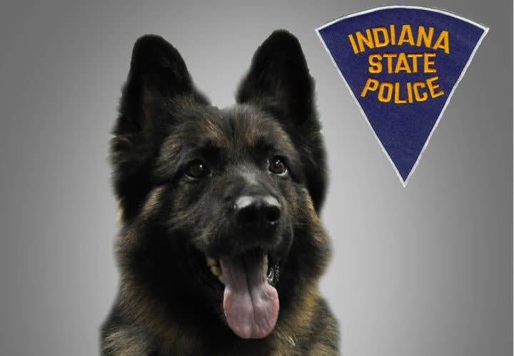 Ind. Deputy Wounded, K-9 Killed In Standoff