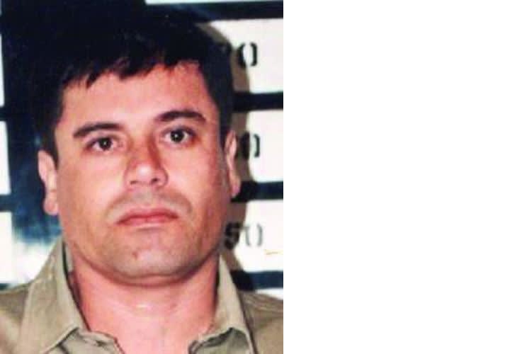 A Field Guide to Mexican Drug Cartels