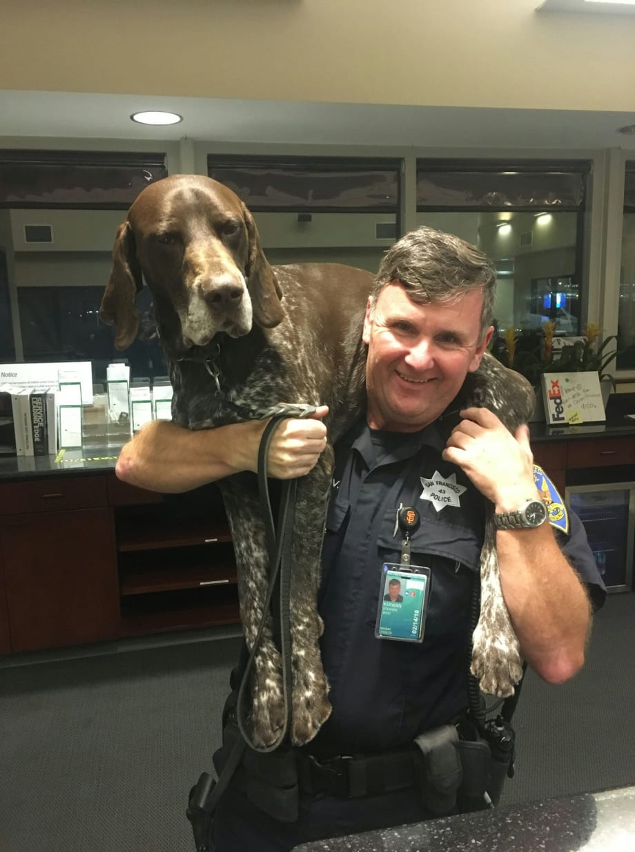 California K-9 Separated from Handler Reunited with Retired Officer