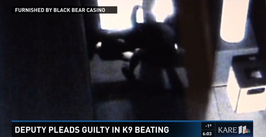 Minnesota Deputy Pleads Guilty to Beating K-9 Partner